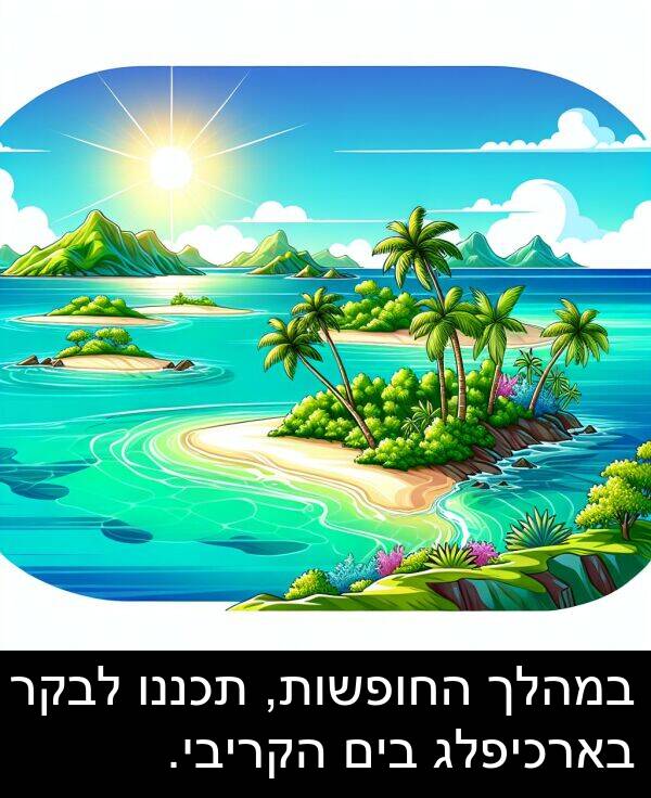 בארכיפלג: במהלך החופשות, תכננו לבקר בארכיפלג בים הקריבי.
