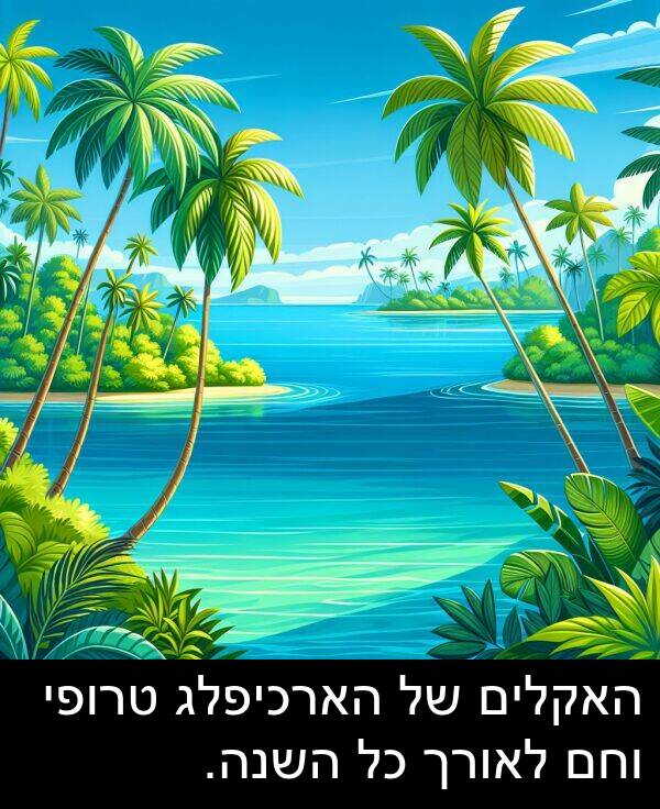 טרופי: האקלים של הארכיפלג טרופי וחם לאורך כל השנה.