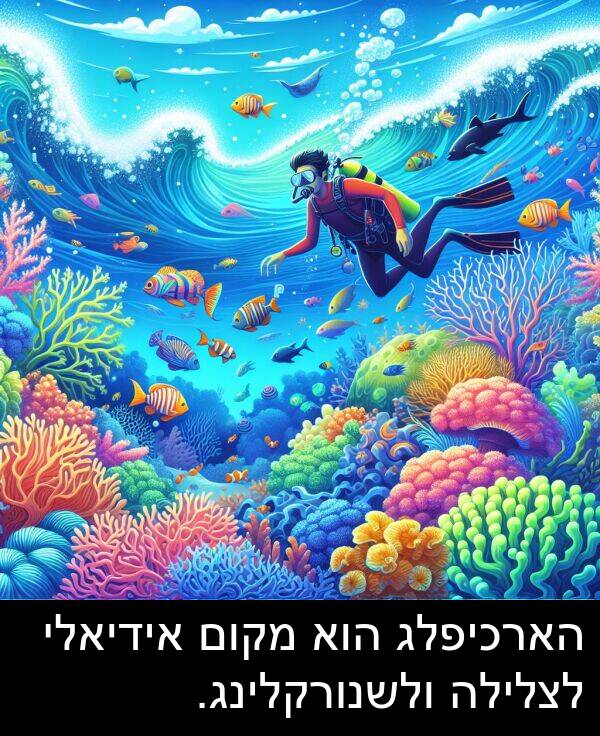 אידיאלי: הארכיפלג הוא מקום אידיאלי לצלילה ולשנורקלינג.