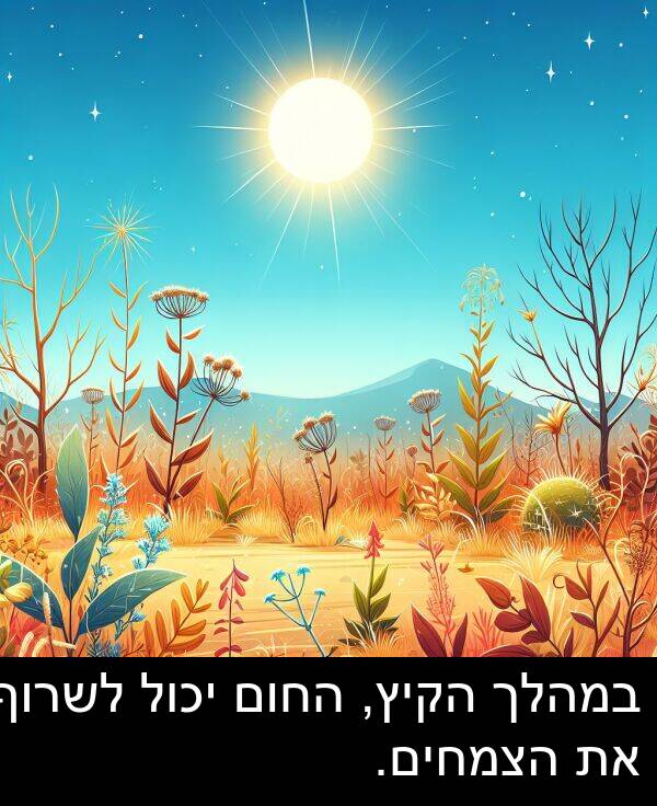 יכול: במהלך הקיץ, החום יכול לשרוף את הצמחים.
