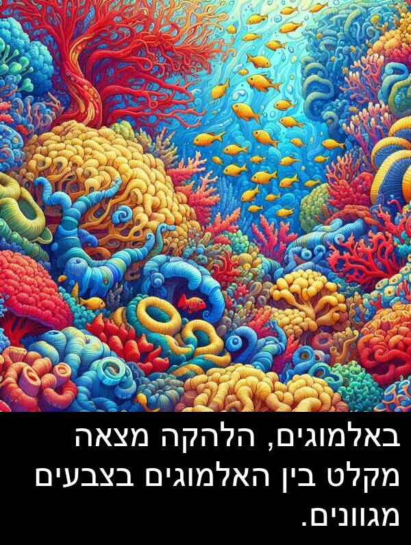 מצאה: באלמוגים, הלהקה מצאה מקלט בין האלמוגים בצבעים מגוונים.