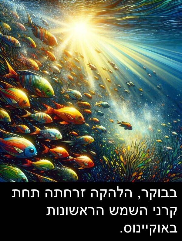 באוקיינוס: בבוקר, הלהקה זרחתה תחת קרני השמש הראשונות באוקיינוס.
