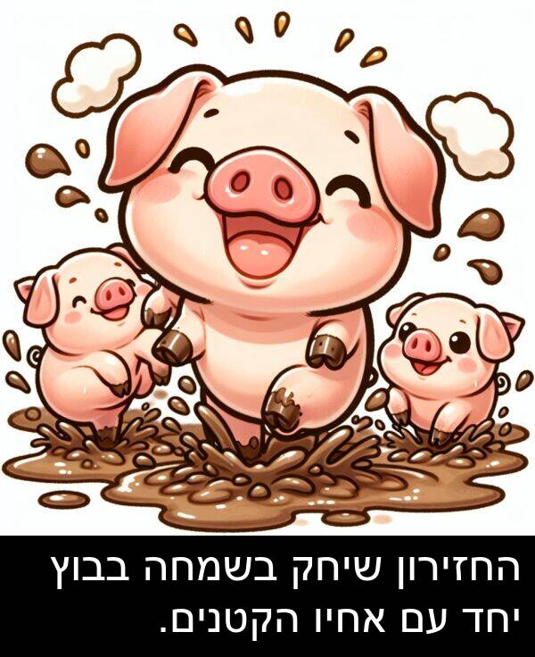 בבוץ: החזירון שיחק בשמחה בבוץ יחד עם אחיו הקטנים.