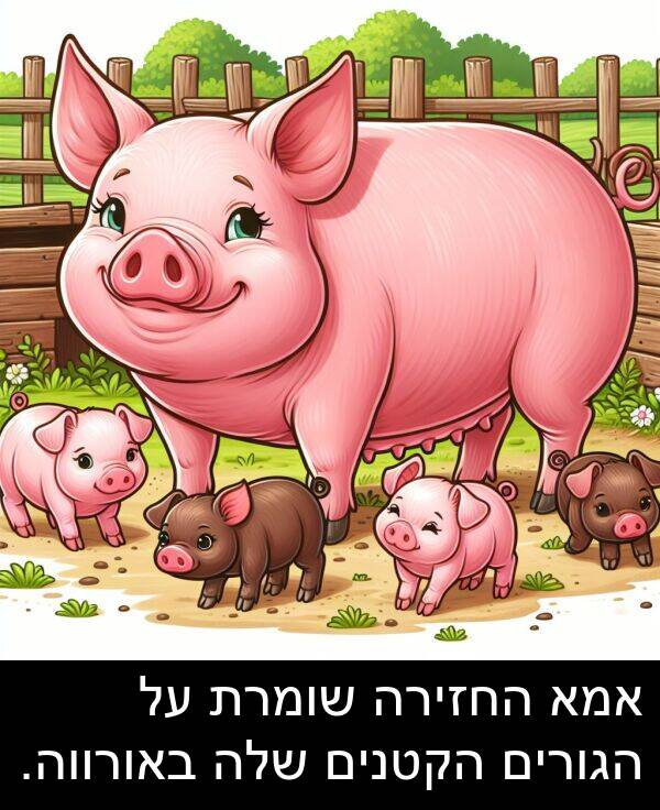 באורווה: אמא החזירה שומרת על הגורים הקטנים שלה באורווה.
