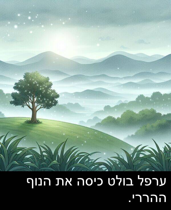 ערפל: ערפל בולט כיסה את הנוף ההררי.