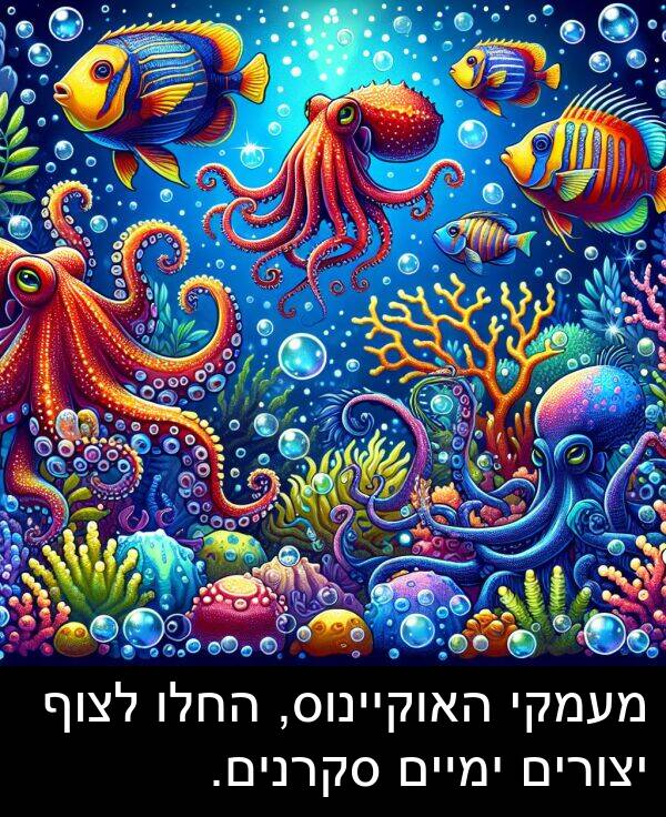סקרנים: מעמקי האוקיינוס, החלו לצוף יצורים ימיים סקרנים.