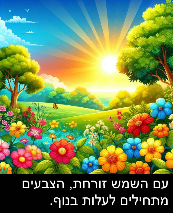 זורחת: עם השמש זורחת, הצבעים מתחילים לעלות בנוף.