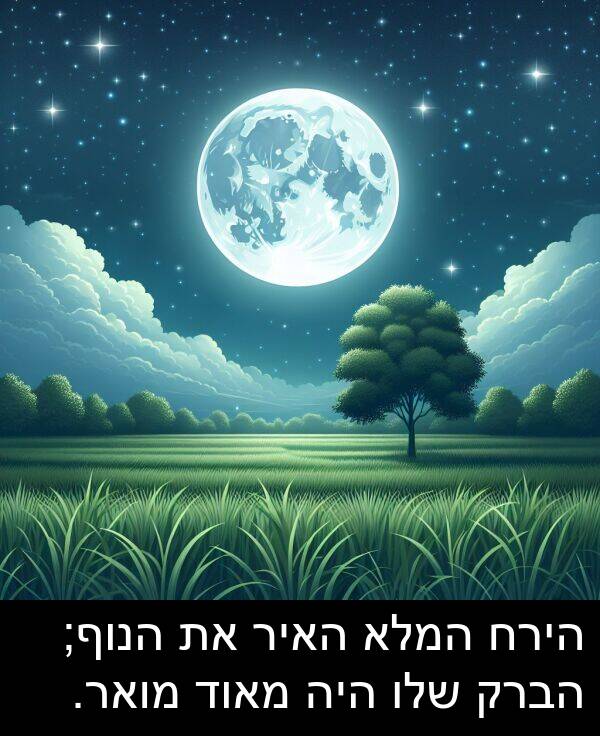 האיר: הירח המלא האיר את הנוף; הברק שלו היה מאוד מואר.