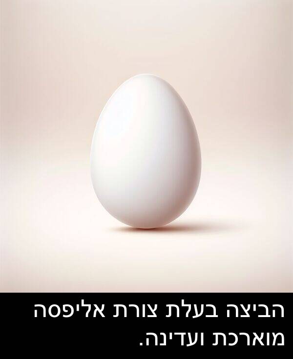 הביצה: הביצה בעלת צורת אליפסה מוארכת ועדינה.