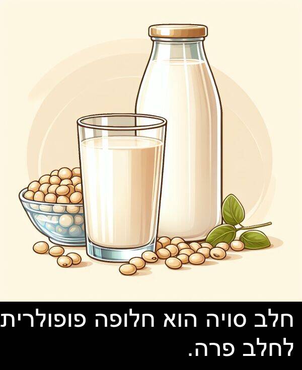 פופולרית: חלב סויה הוא חלופה פופולרית לחלב פרה.