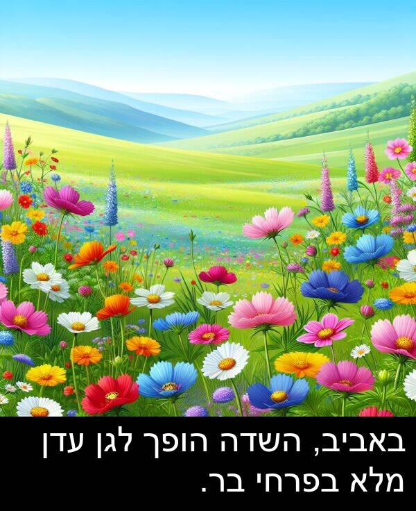 באביב: באביב, השדה הופך לגן עדן מלא בפרחי בר.