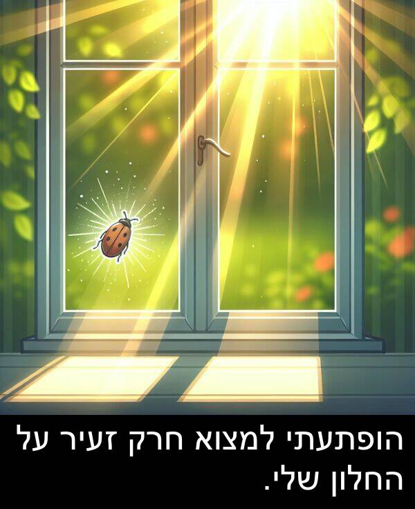 זעיר: הופתעתי למצוא חרק זעיר על החלון שלי.