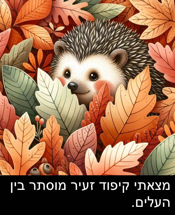 זעיר: מצאתי קיפוד זעיר מוסתר בין העלים.
