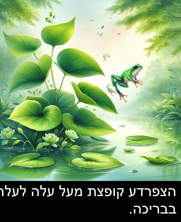 בבריכה: הצפרדע קופצת מעל עלה לעלה בבריכה.