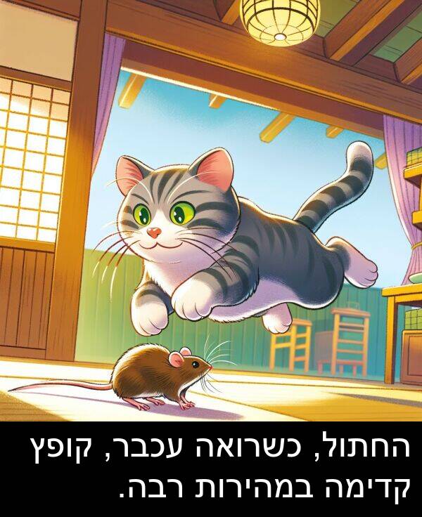קופץ: החתול, כשרואה עכבר, קופץ קדימה במהירות רבה.