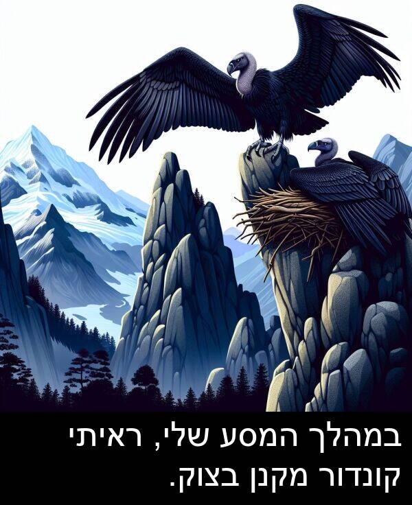 בצוק: במהלך המסע שלי, ראיתי קונדור מקנן בצוק.