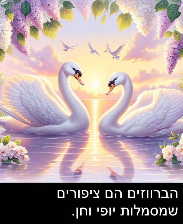 ציפורים: הברווזים הם ציפורים שמסמלות יופי וחן.