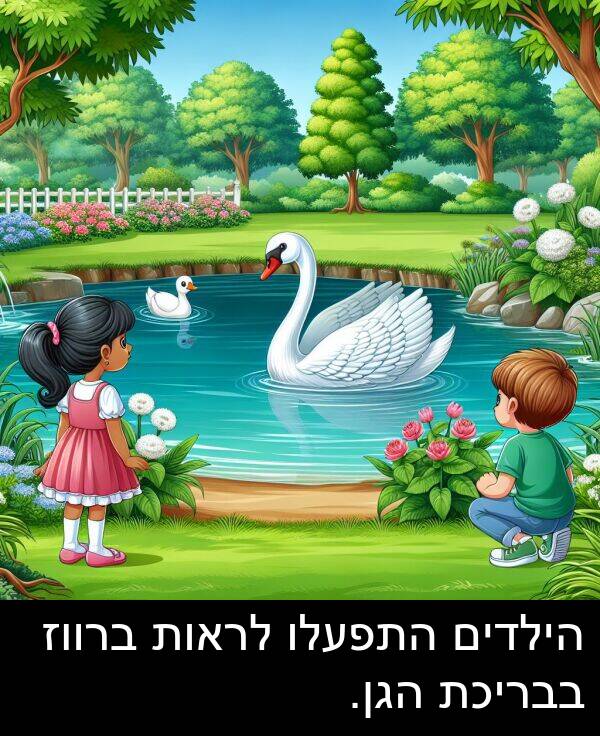 התפעלו: הילדים התפעלו לראות ברווז בבריכת הגן.