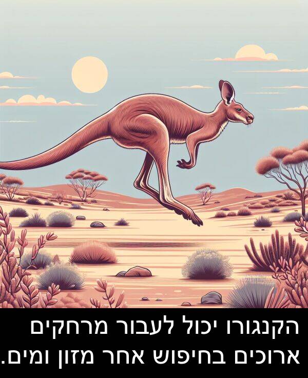אחר: הקנגורו יכול לעבור מרחקים ארוכים בחיפוש אחר מזון ומים.