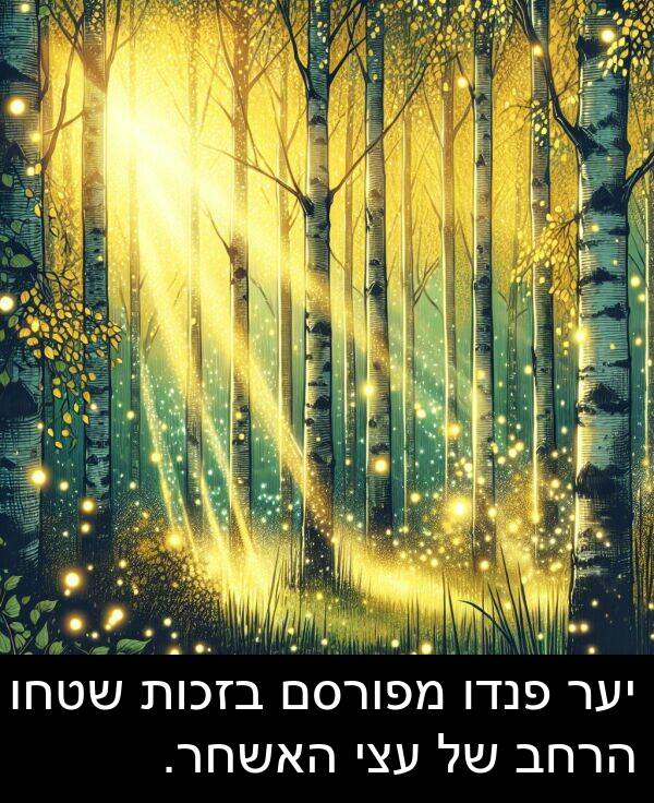 פנדו: יער פנדו מפורסם בזכות שטחו הרחב של עצי האשחר.