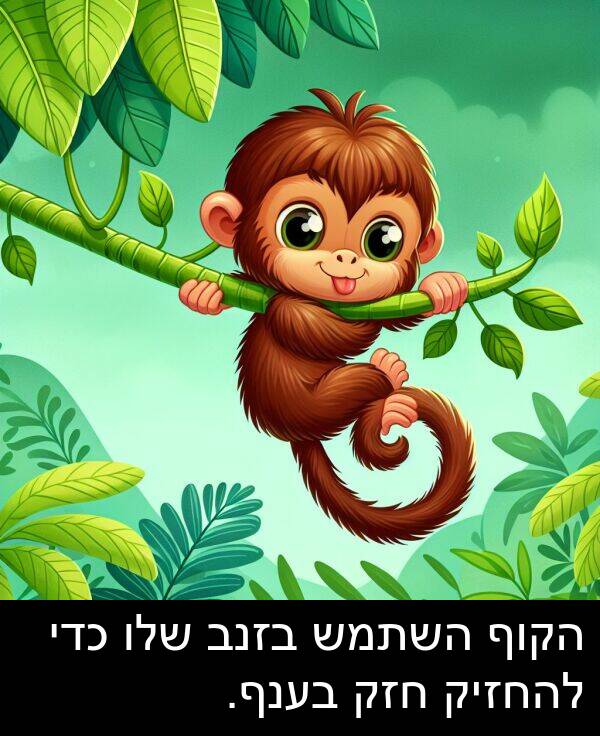 הקוף: הקוף השתמש בזנב שלו כדי להחזיק חזק בענף.