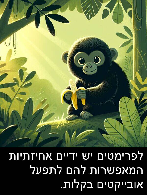אחיזתיות: לפרימטים יש ידיים אחיזתיות המאפשרות להם לתפעל אובייקטים בקלות.