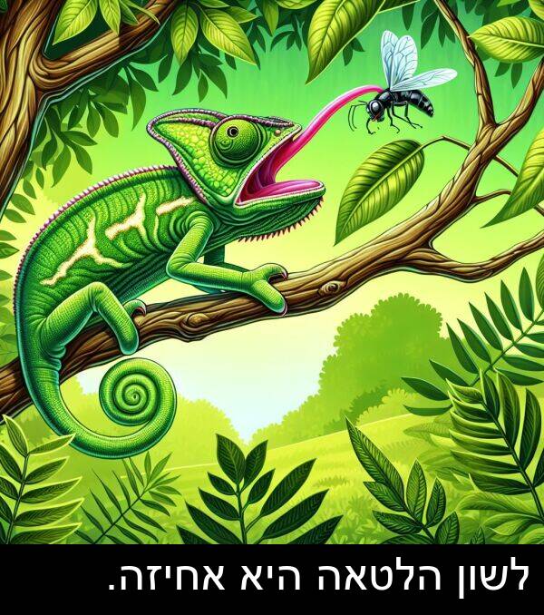 אחיזה: לשון הלטאה היא אחיזה.