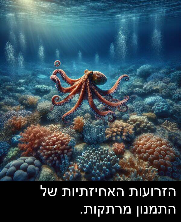 מרתקות: הזרועות האחיזתיות של התמנון מרתקות.