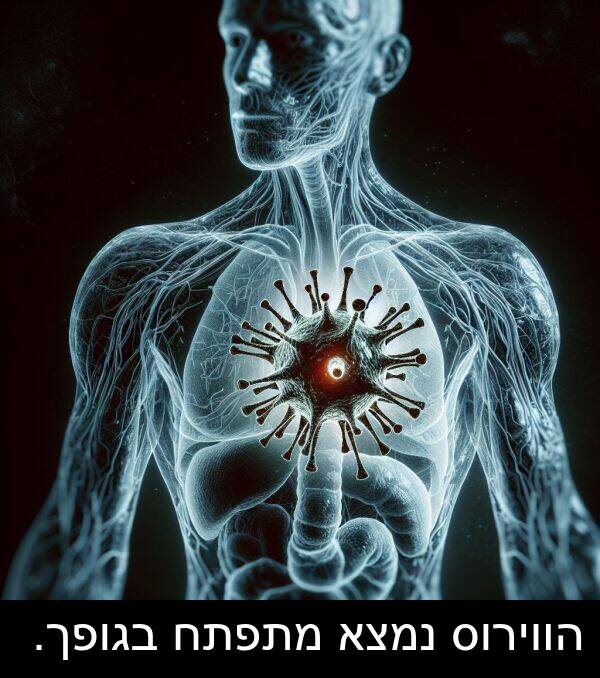 בגופך: הווירוס נמצא מתפתח בגופך.