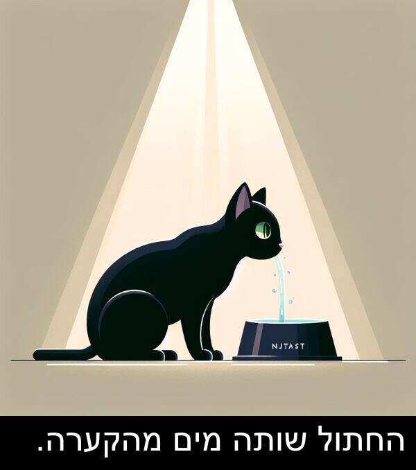 מים: החתול שותה מים מהקערה.