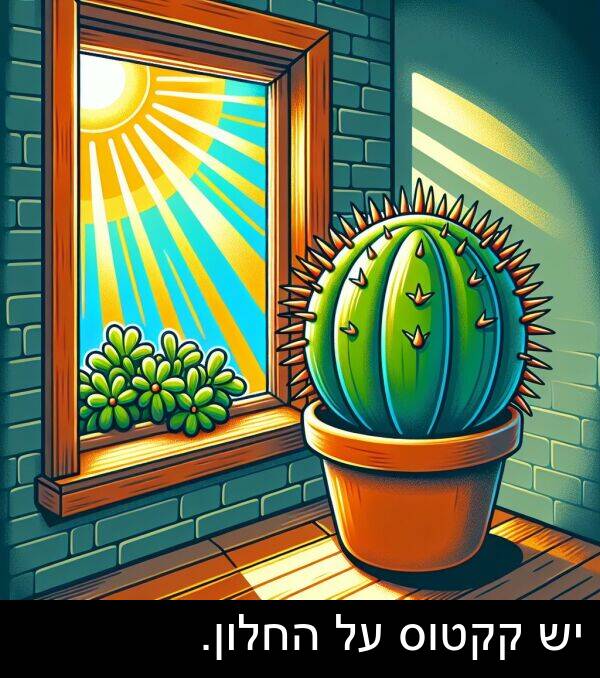 קקטוס: יש קקטוס על החלון.