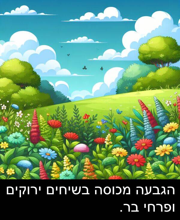ירוקים: הגבעה מכוסה בשיחים ירוקים ופרחי בר.