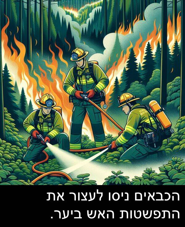 התפשטות: הכבאים ניסו לעצור את התפשטות האש ביער.