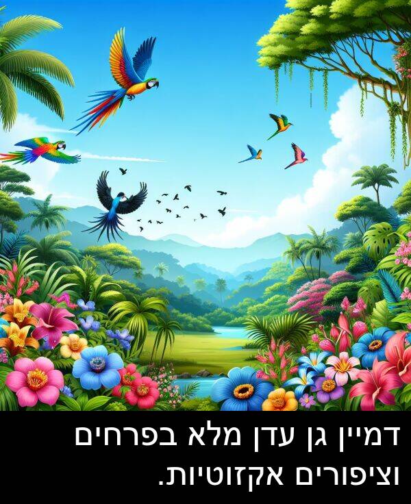 עדן: דמיין גן עדן מלא בפרחים וציפורים אקזוטיות.