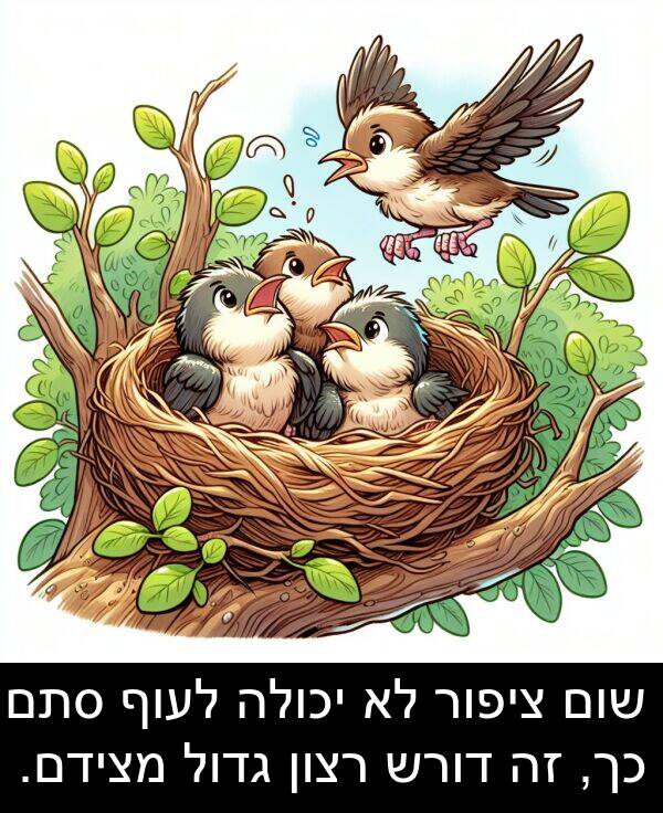 סתם: שום ציפור לא יכולה לעוף סתם כך, זה דורש רצון גדול מצידם.