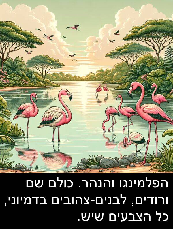 בדמיוני: הפלמינגו והנהר. כולם שם ורודים, לבנים-צהובים בדמיוני, כל הצבעים שיש.