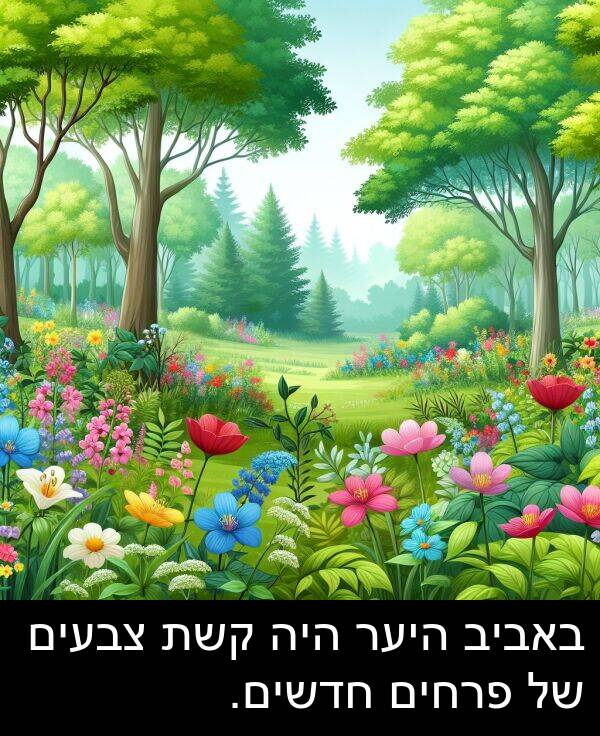 פרחים: באביב היער היה קשת צבעים של פרחים חדשים.