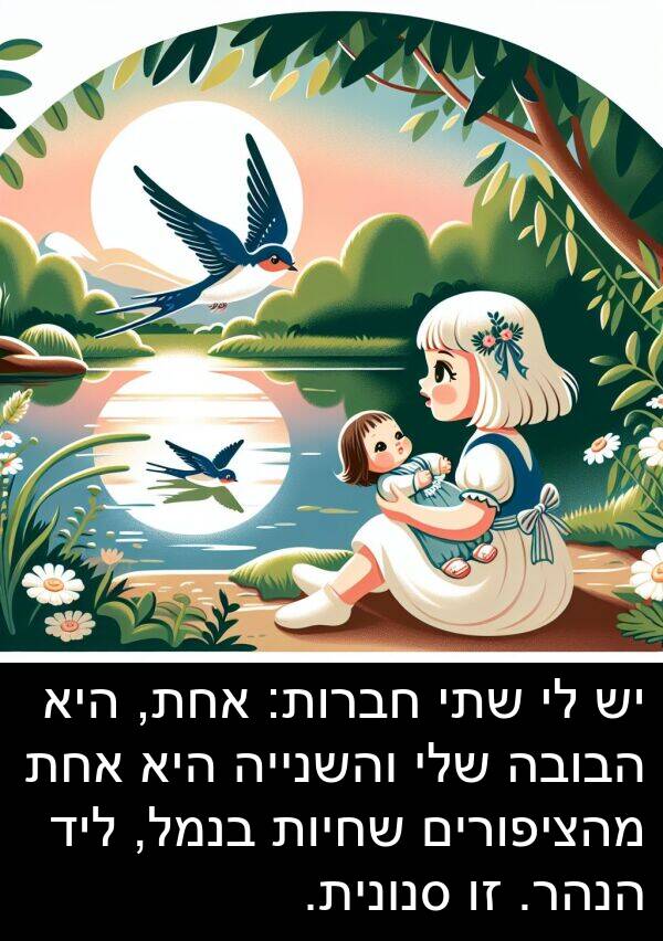 סנונית: יש לי שתי חברות: אחת, היא הבובה שלי והשנייה היא אחת מהציפורים שחיות בנמל, ליד הנהר. זו סנונית.