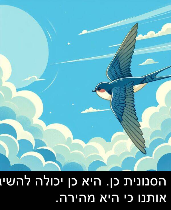 אותנו: הסנונית כן. היא כן יכולה להשיג אותנו כי היא מהירה.