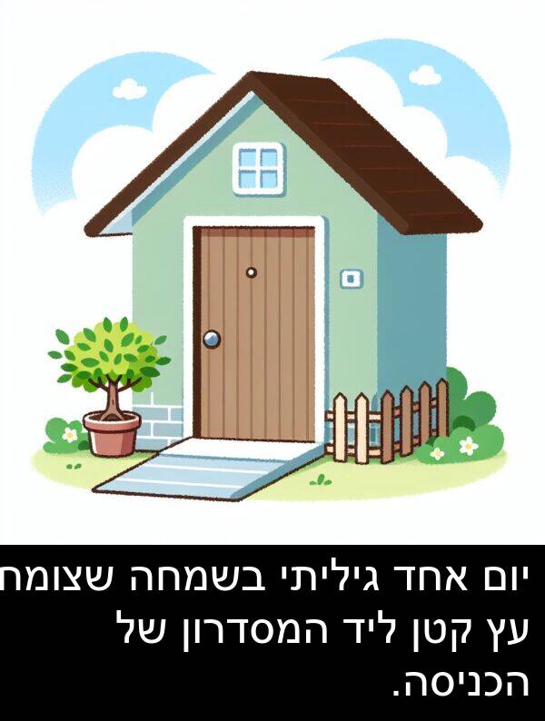 קטן: יום אחד גיליתי בשמחה שצומח עץ קטן ליד המסדרון של הכניסה.