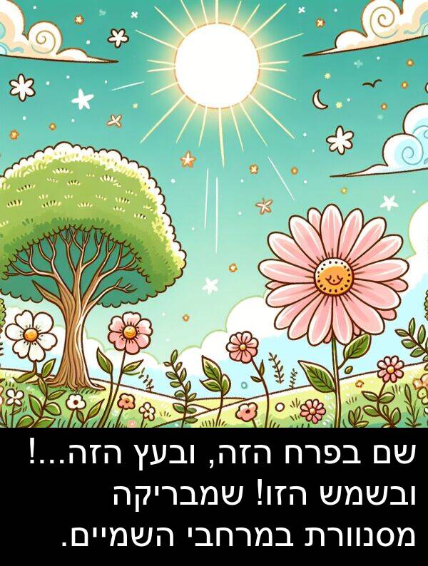 ובעץ: שם בפרח הזה, ובעץ הזה...! ובשמש הזו! שמבריקה מסנוורת במרחבי השמיים.