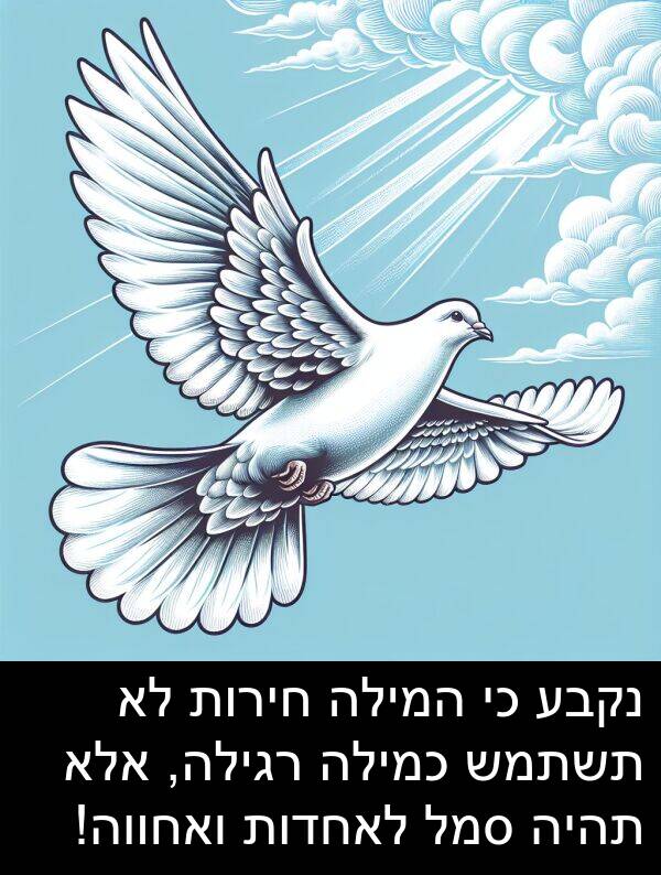 סמל: נקבע כי המילה חירות לא תשתמש כמילה רגילה, אלא תהיה סמל לאחדות ואחווה!