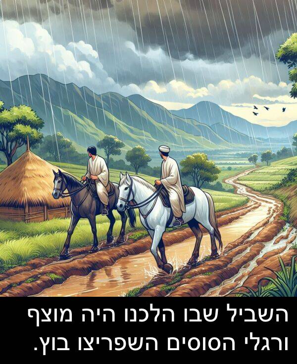 שבו: השביל שבו הלכנו היה מוצף ורגלי הסוסים השפריצו בוץ.