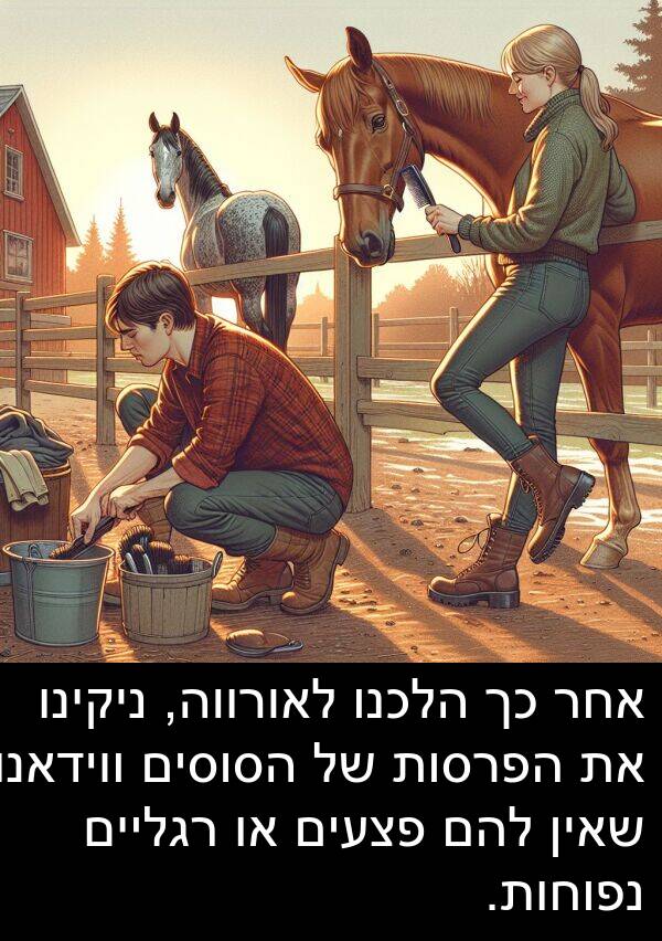 פצעים: אחר כך הלכנו לאורווה, ניקינו את הפרסות של הסוסים ווידאנו שאין להם פצעים או רגליים נפוחות.
