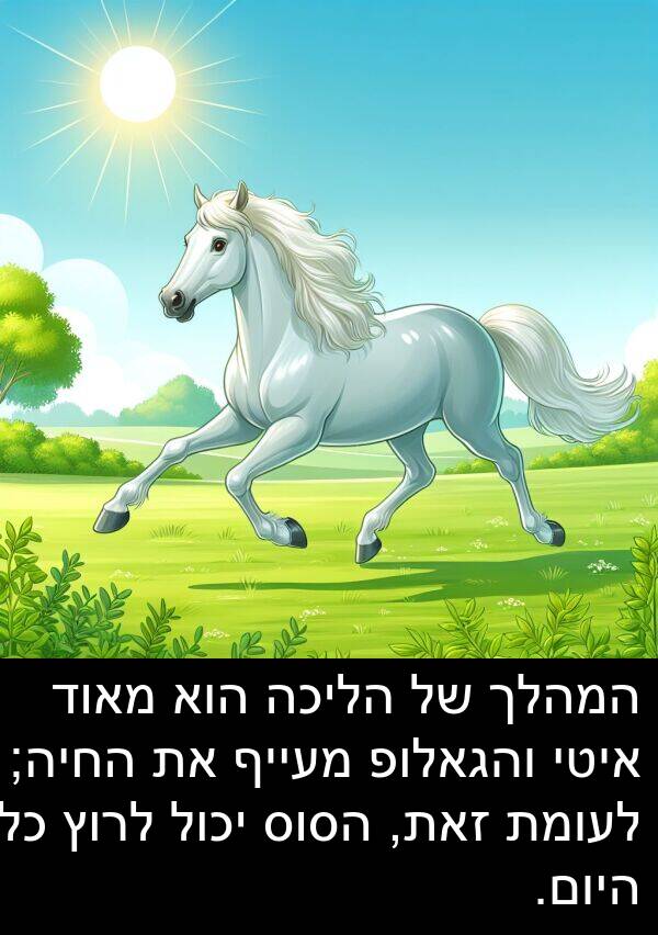איטי: המהלך של הליכה הוא מאוד איטי והגאלופ מעייף את החיה; לעומת זאת, הסוס יכול לרוץ כל היום.