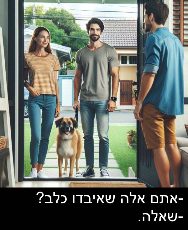 שאיבדו: -אתם אלה שאיבדו כלב? -שאלה.