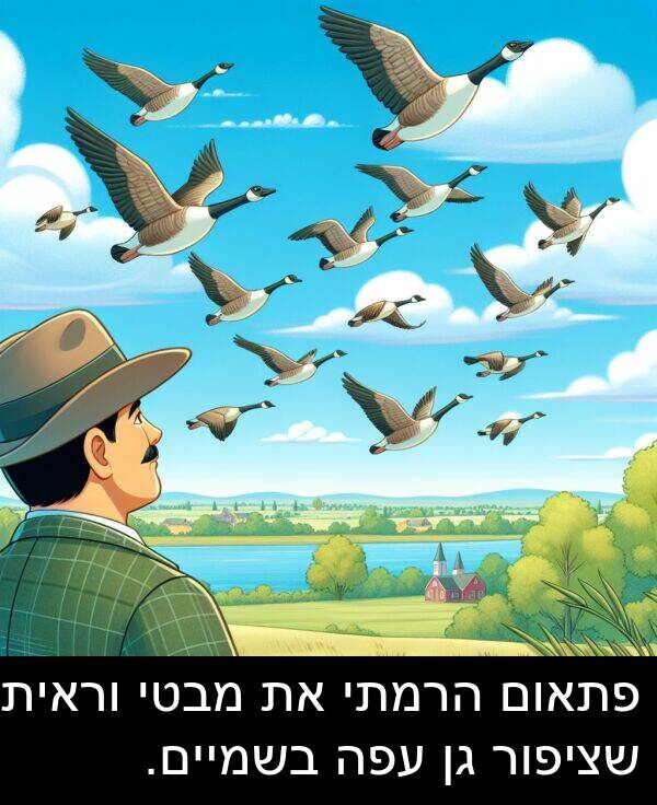 וראיתי: פתאום הרמתי את מבטי וראיתי שציפור גן עפה בשמיים.