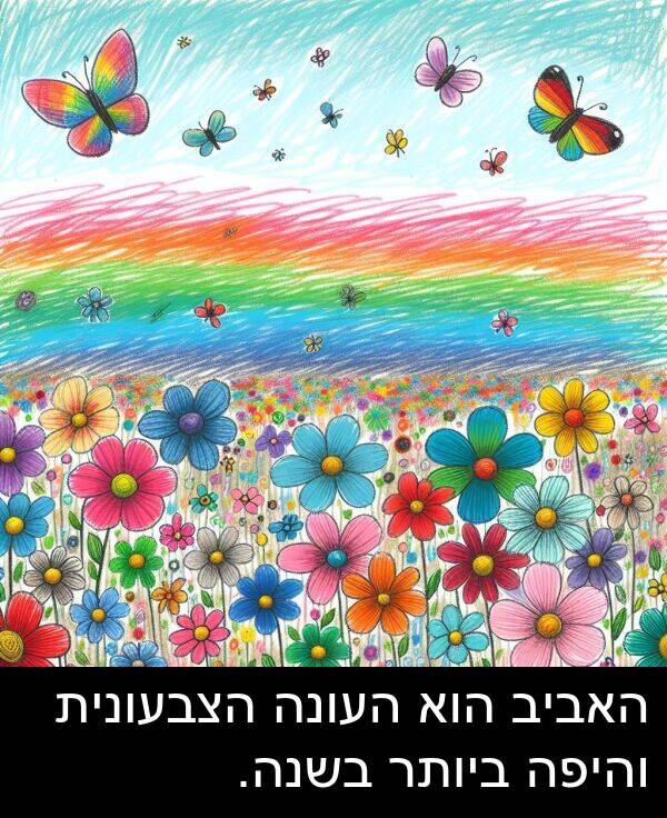 האביב: האביב הוא העונה הצבעונית והיפה ביותר בשנה.