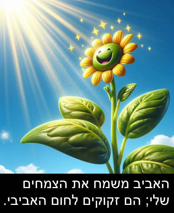 זקוקים: האביב משמח את הצמחים שלי; הם זקוקים לחום האביבי.