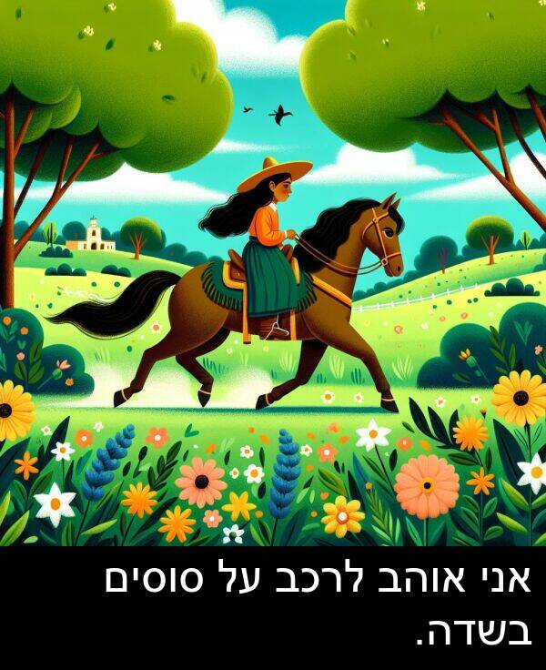 סוסים: אני אוהב לרכב על סוסים בשדה.